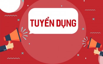 HBG Hòa Bình Group tuyển dụng nhiều vị trí hot trong tháng 9/2021